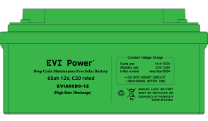 Battery -EVIA200DC-12